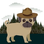 Download Pugs in Hats app