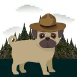 Pugs in Hats App Positive Reviews