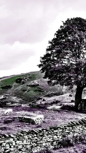 NIR Color screenshot 2