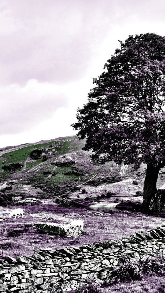 #2. NIR Color (iOS) Ved: JixiPix Software