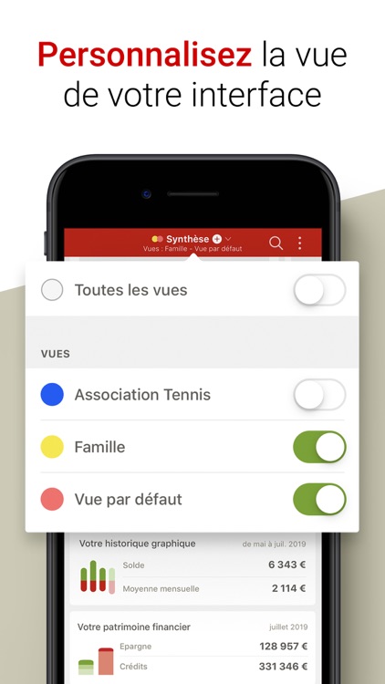 NESTOR gestion budget & compte screenshot-6