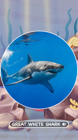 Marine Creatures Cards of Sea screenshot
