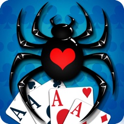 Araignée solitaire 2020