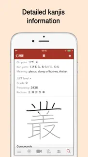 yomiwa - japanese dictionary problems & solutions and troubleshooting guide - 2