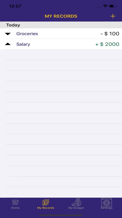 IncomeTracker for iPhone screenshot-3