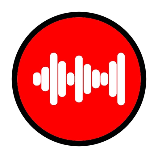 Voice to Video Recorder icon