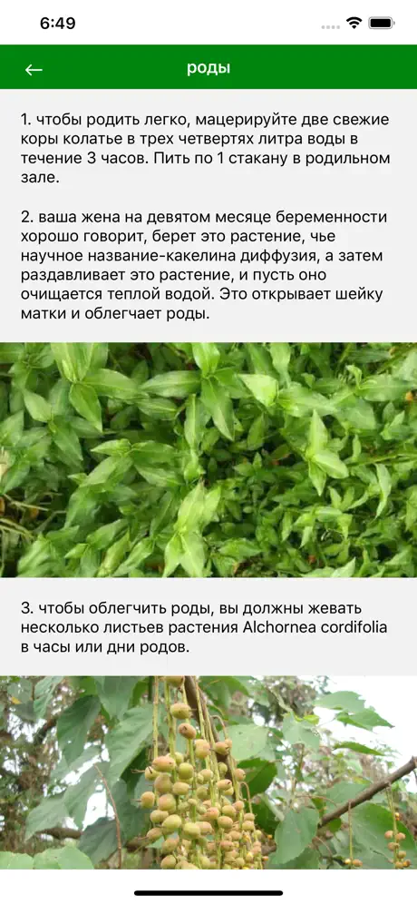 Лекарственные растения мира