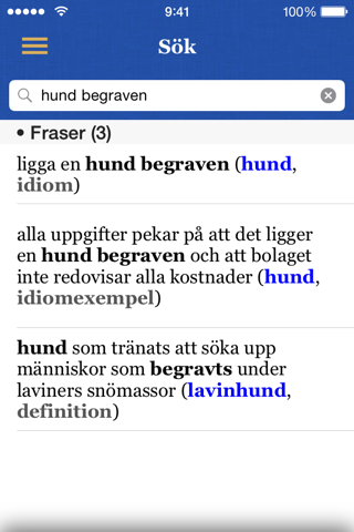 Svensk ordbok screenshot 3