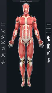 my muscle anatomy iphone resimleri 2
