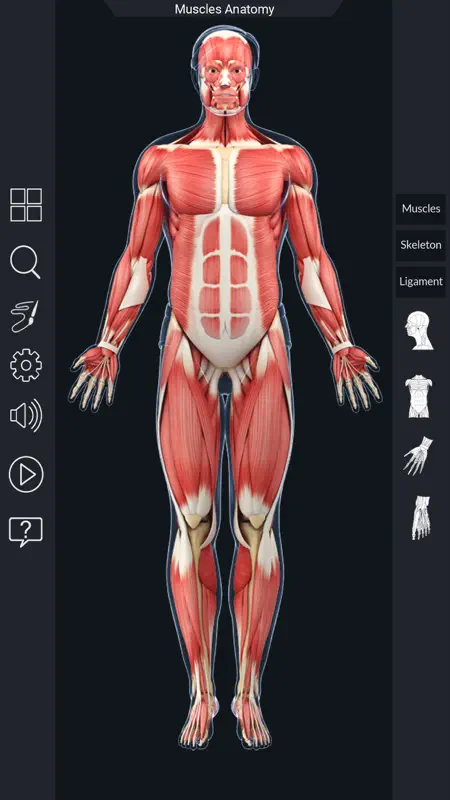 My Muscle Anatomy screenshot 2 of 8