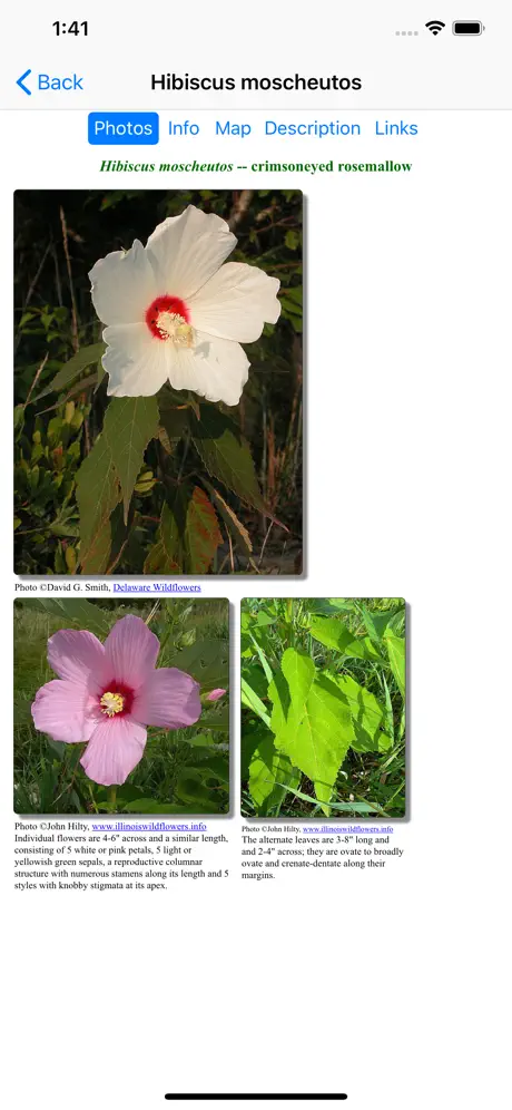 Kentucky Wildflowers
