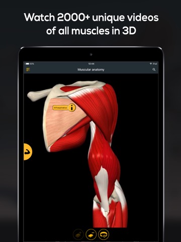 Anatomy by Muscle & Motionのおすすめ画像6