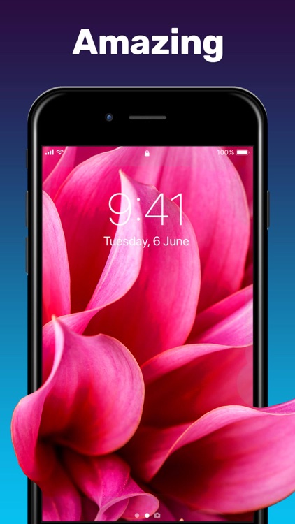 Live Wallpaper & Wallpapers HD
