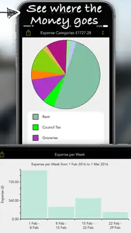 Spending Log iphone bilder 2
