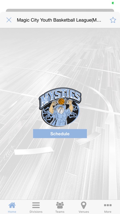 Magic City Mystics