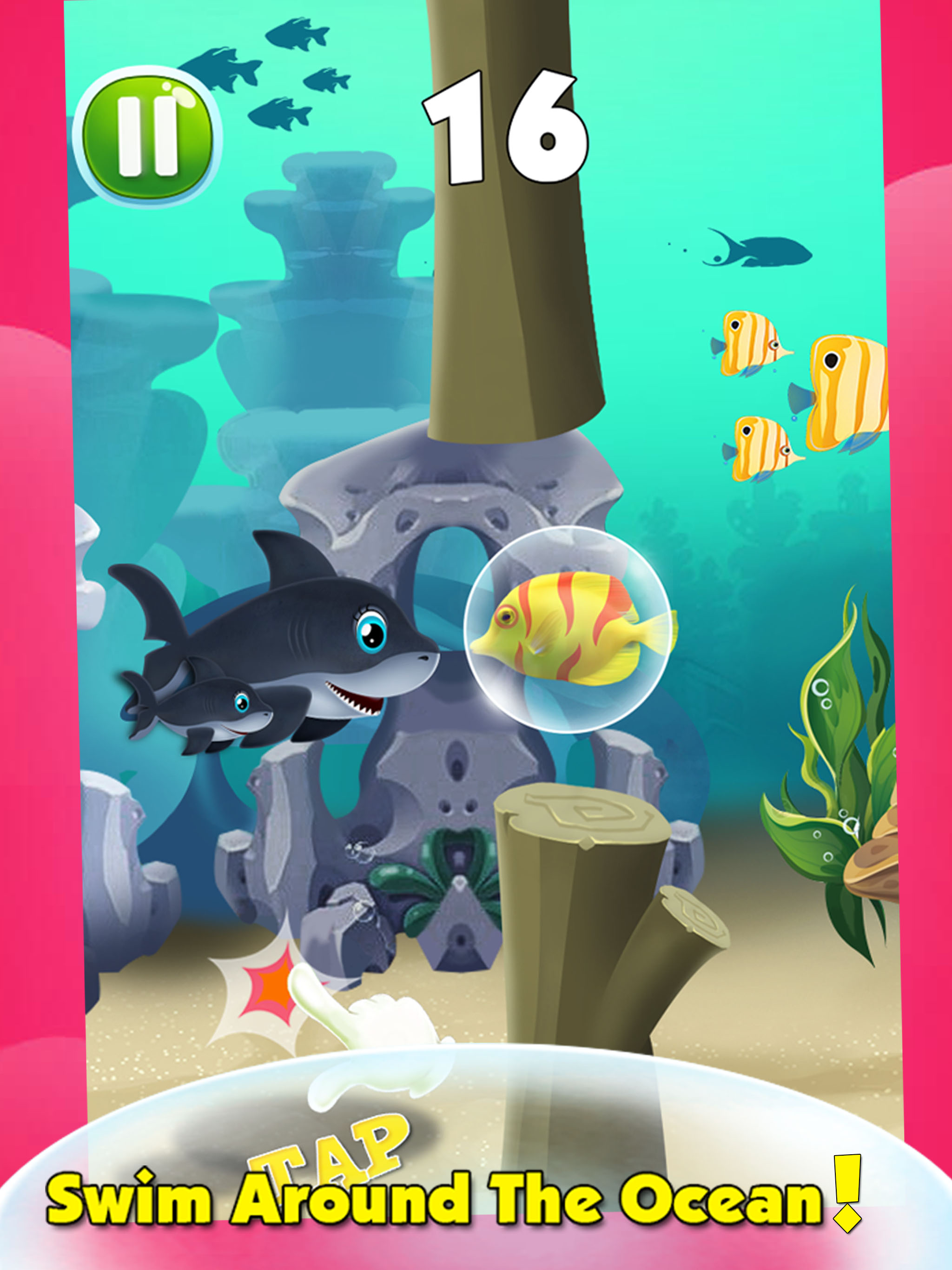 Baby & Mommy Shark Run Fun Do