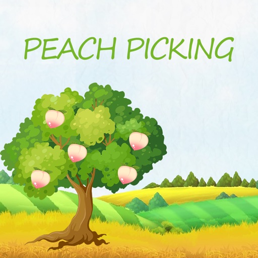 Peach Picking