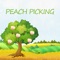 This game has a game scene of picking peaches