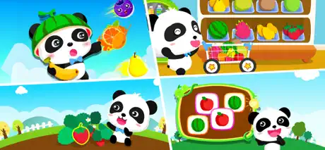 Panda  Learns about Fruit