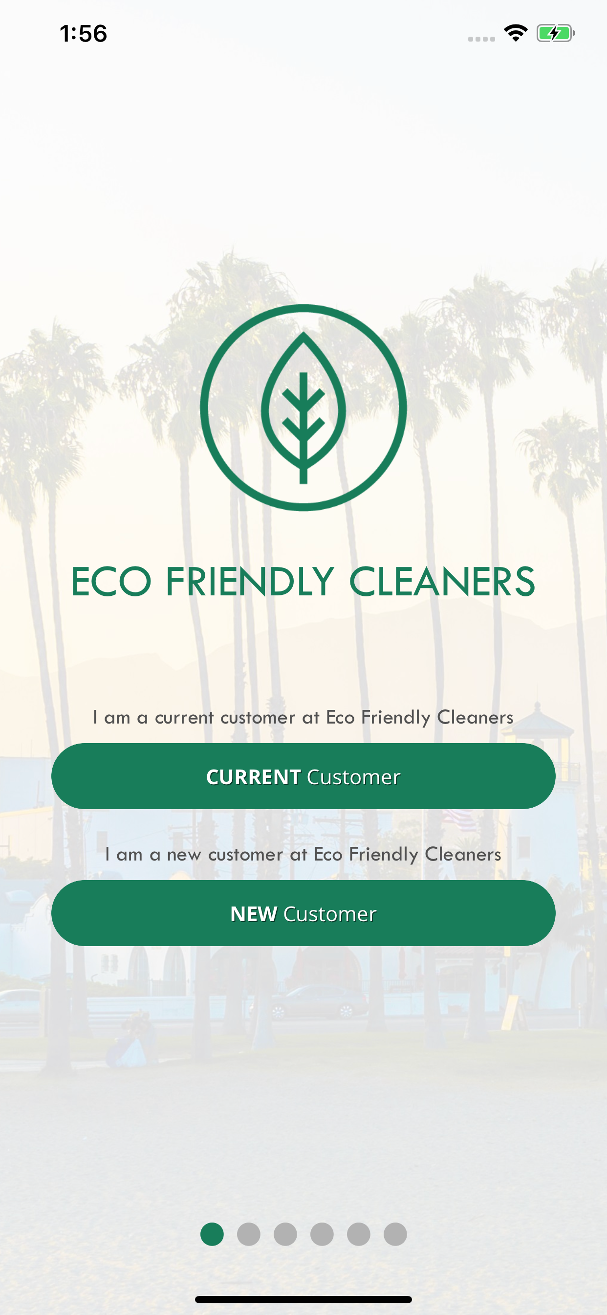 Eco Friendly Cleaners