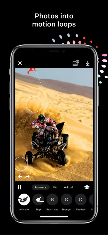 Disflow - Motion Image Editor