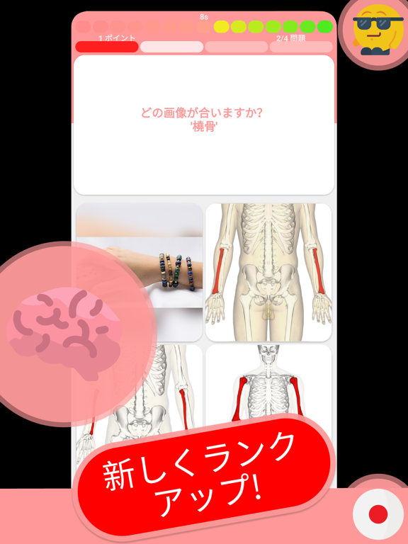 解剖学 & 骨格 クイズ 日本ののおすすめ画像7
