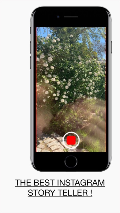 Screenshot #2 pour Storeo Stories Maker