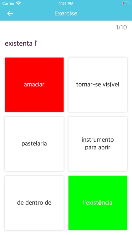 Portuguese Romanian Dictionary screenshot-3
