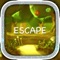 Icon Lost In Forest -escape game-