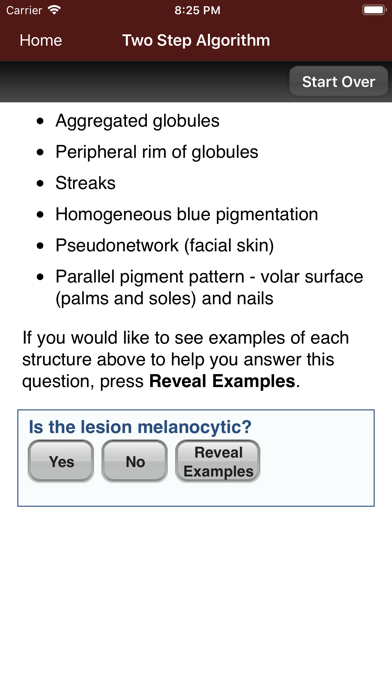 Dermoscopy Two Step Algorithm Screenshot