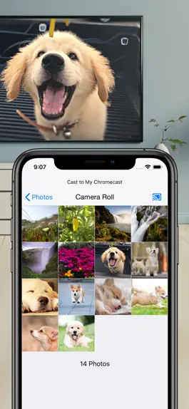 Game screenshot SmartCast for ChromecastTV hack