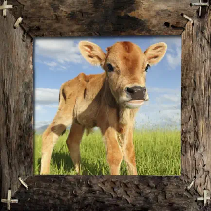 Farm Animals Name and Sound Читы