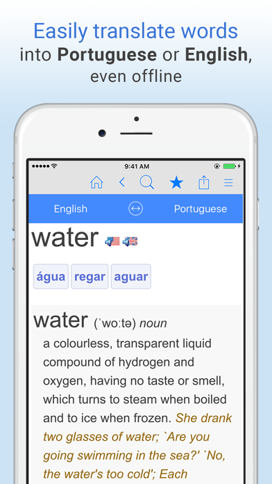 English-Portuguese Dictionary. Screenshot