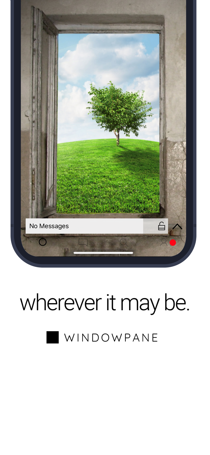 Windowpane screenshot 2