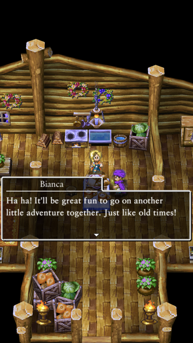 DRAGON QUEST V screenshot 3