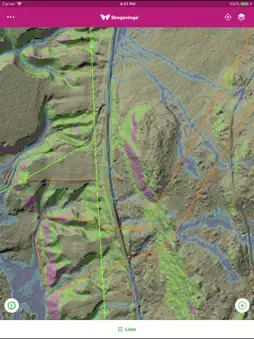 Skogsvinge screenshot 10