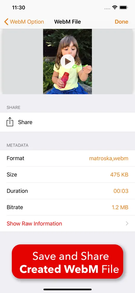 Video 2 WebM Cross Converter