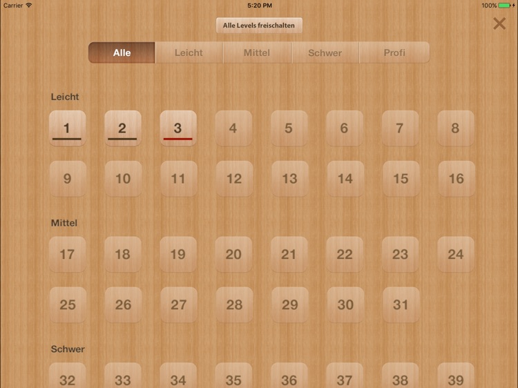 Wer war es? - Das Logik-Puzzle