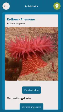 Game screenshot Beach Explorer apk