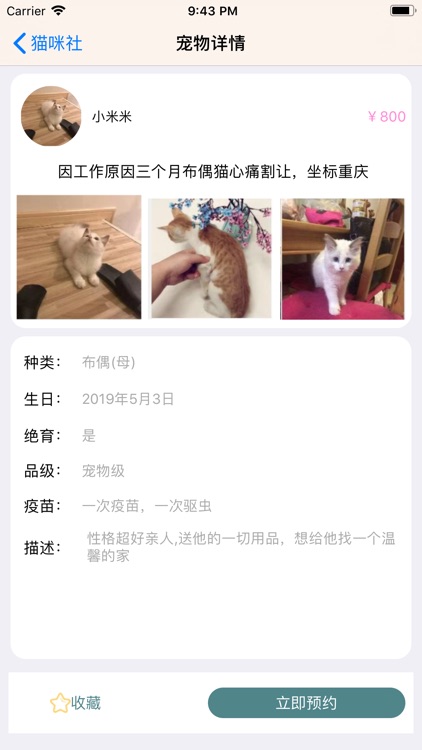 猫咪社