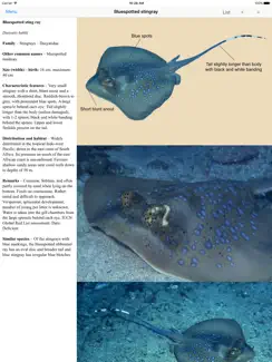 EGuide to Sharks and Rays iPad image 3