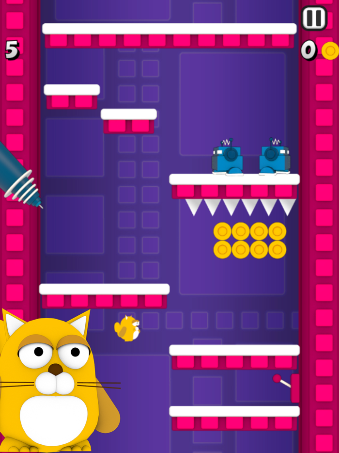 Cool Cat - Paws Of Furry