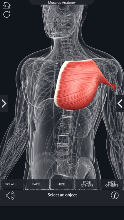 My Muscle Anatomy screenshot-6
