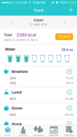 Game screenshot Diet Organizer hack