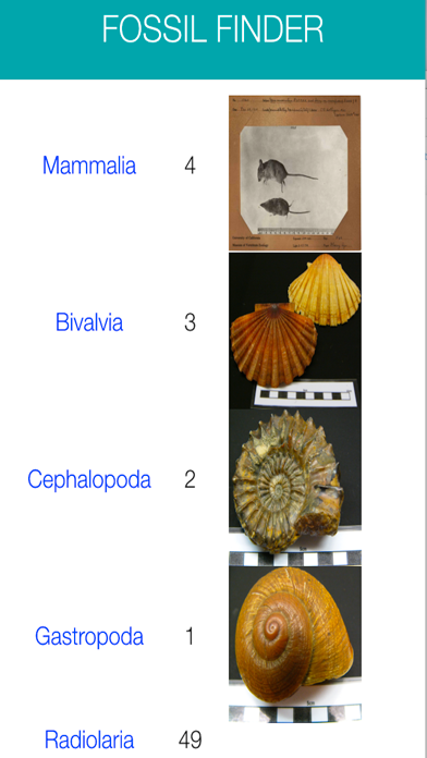 Screenshot #3 pour Fossil Finder