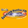 Rádio Sucesso Bambui 103 FM