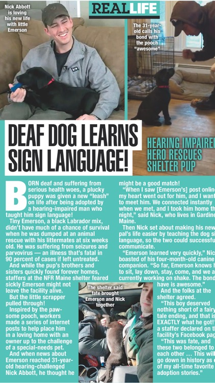 Enquirer screenshot-4
