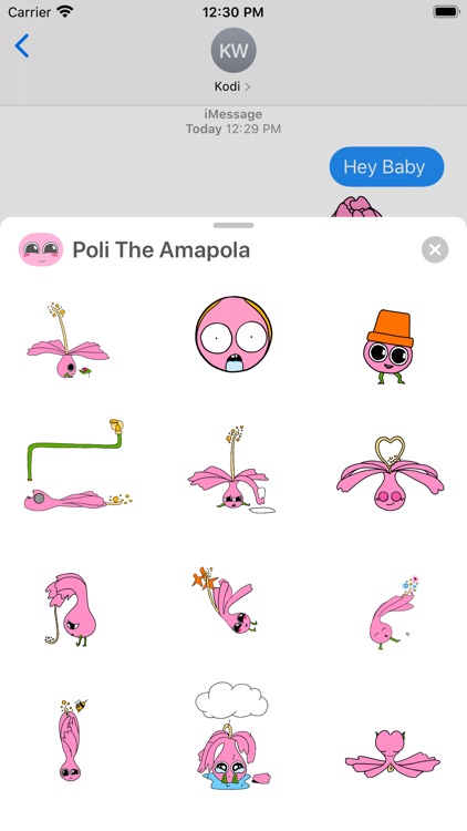 Poli The Amapola