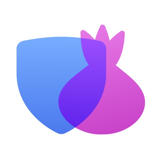 VPN+TOR Browser