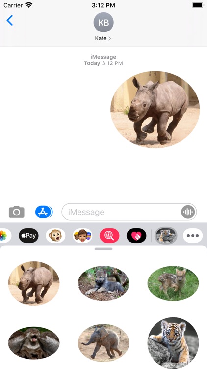 Amazing Animals Stickers Pack
